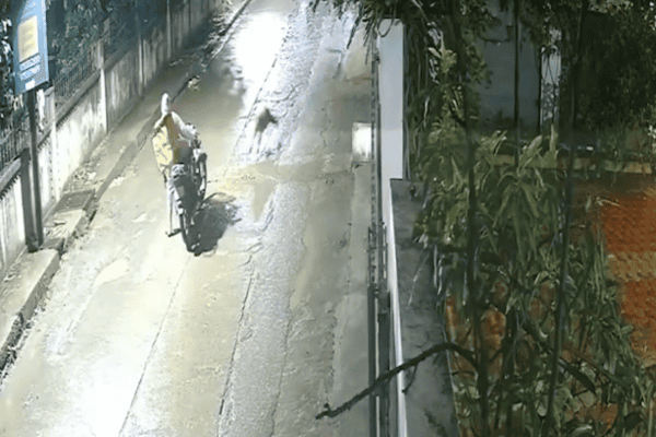 Motociclista dá de cara com leopardo em estrada na Índia e escapa de ataque