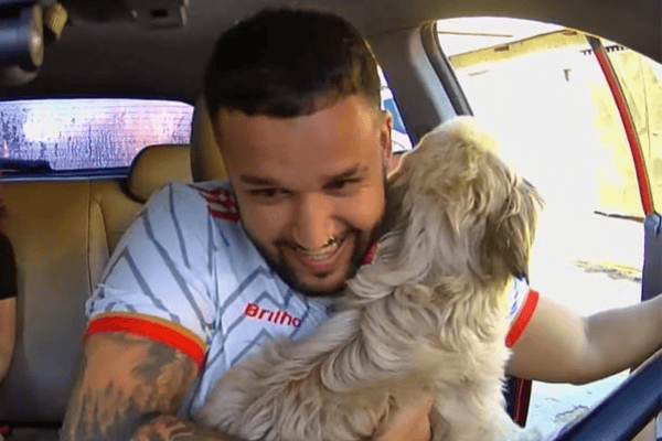 Motorista de aplicativo encontra cachorro desaparecido da tia durante corrida e momento viraliza nas redes sociais