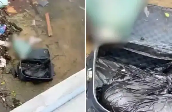 Mala macabra com duas pernas humanas aparece boiando no mar do litoral de SP