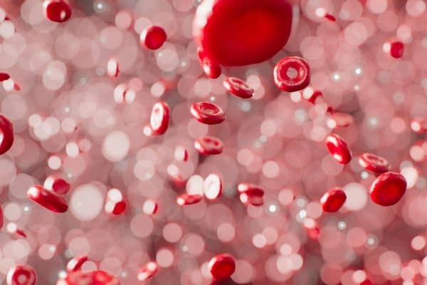 Doação de sangue muda nesta quarta e novas regras surpreendem quem pode doar