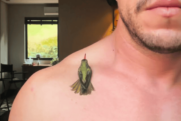 Beija-flor encontra aconchego perto do coração de homem em cena emocionante