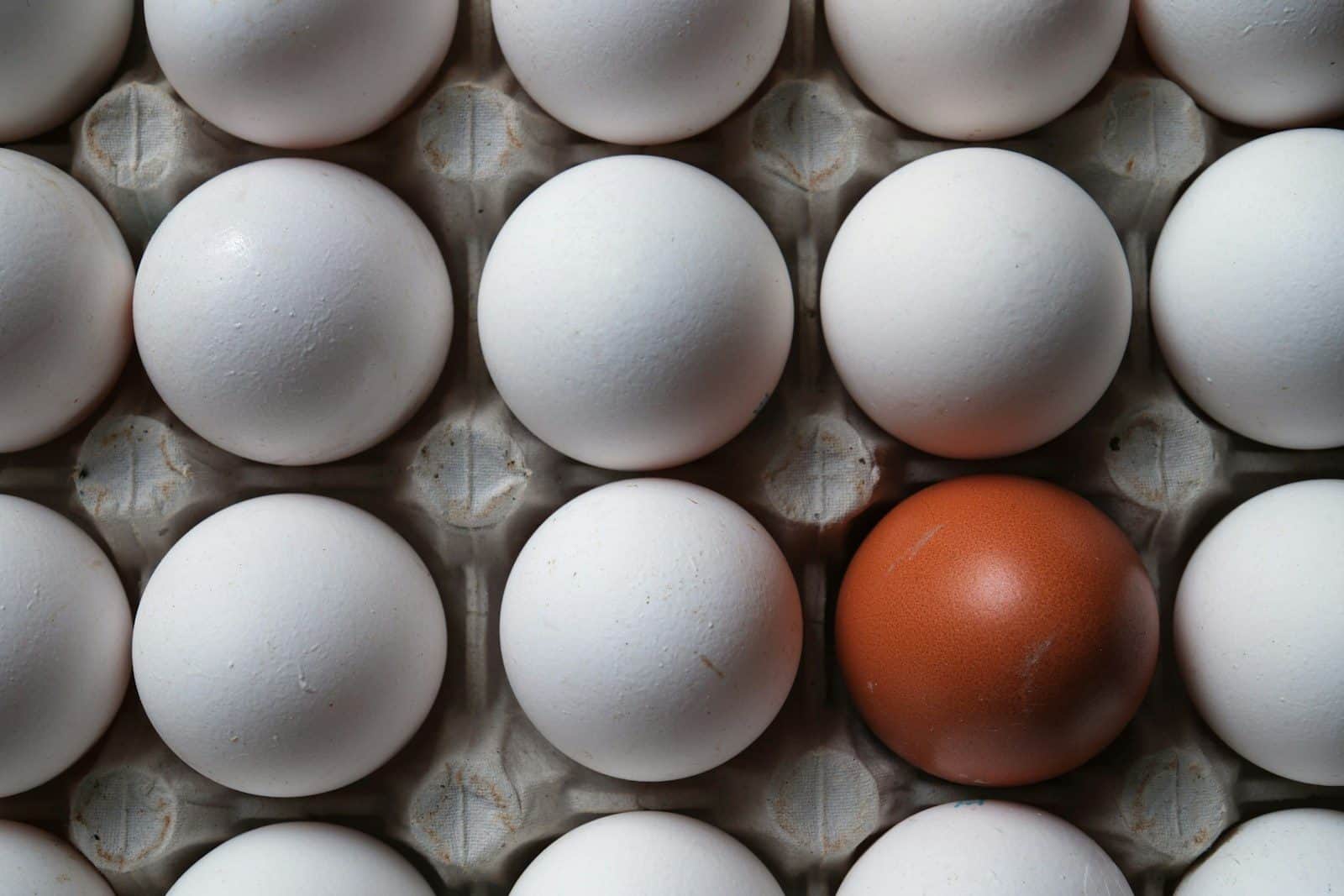 White eggs in carton with one brown egg